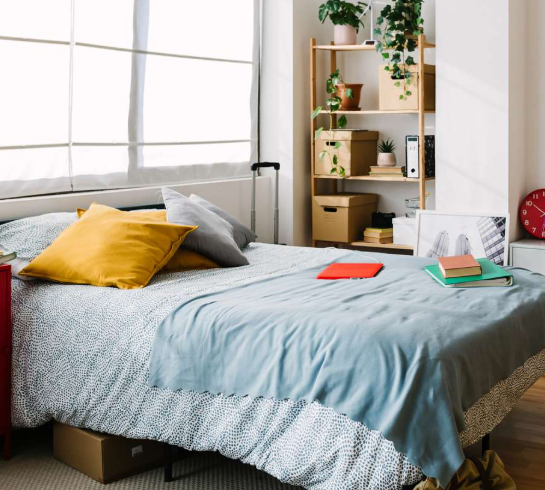 Essential Budget Tips for Your First Apartment