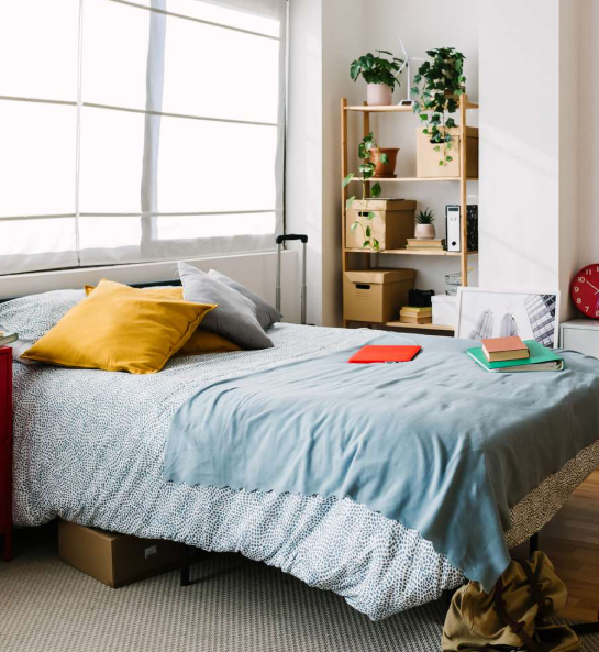 Essential Budget Tips for Your First Apartment