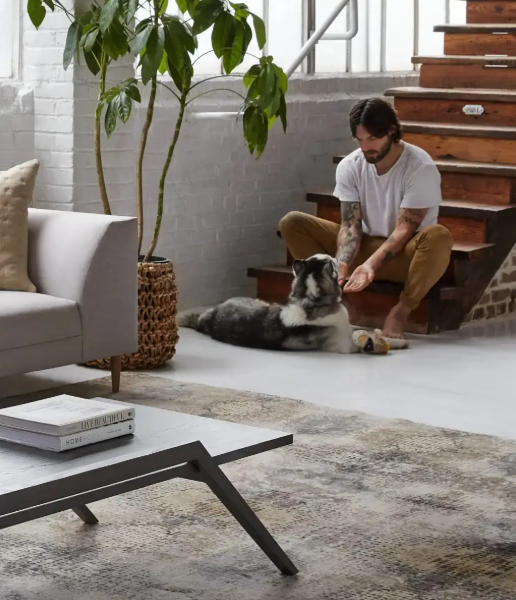 How to Clean Area Rugs: A Step-by-Step Guide