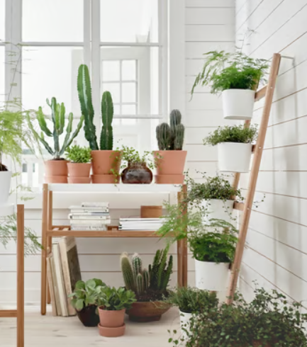 Gift Guide for the Plant Lover in Your Life