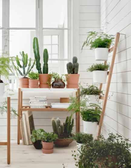 Gift Guide for the Plant Lover in Your Life